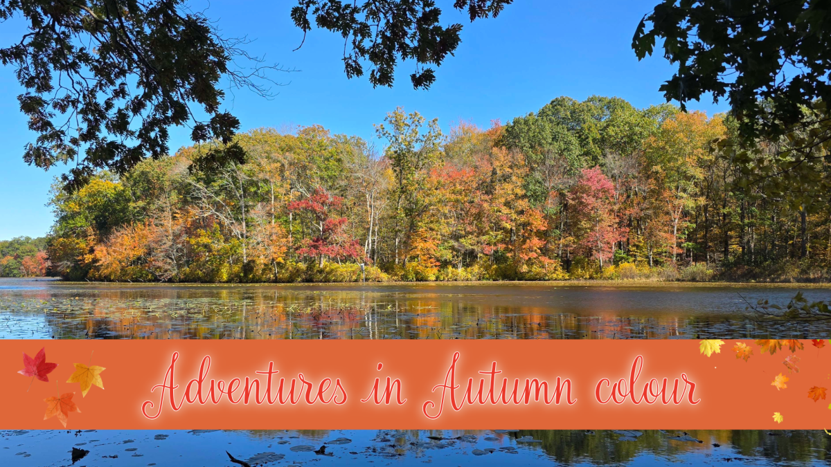 Adventures in Autumn&nbsp;colour